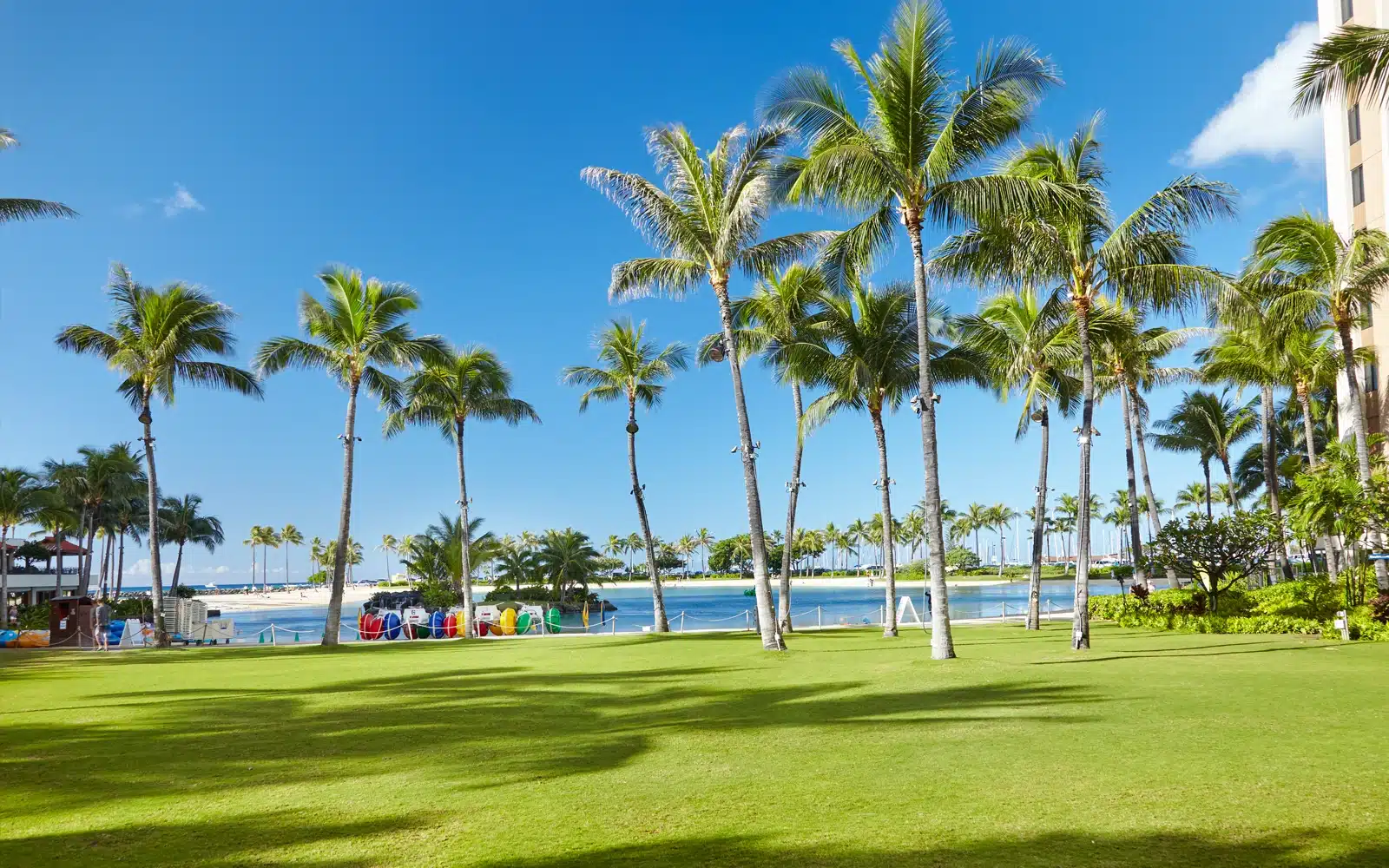 The Great Lawn at the Hilton Hawaiian Village