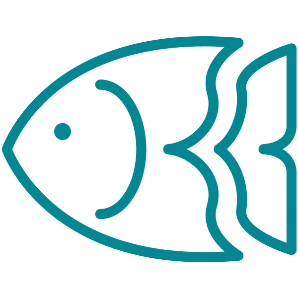illustration of a tropical fish