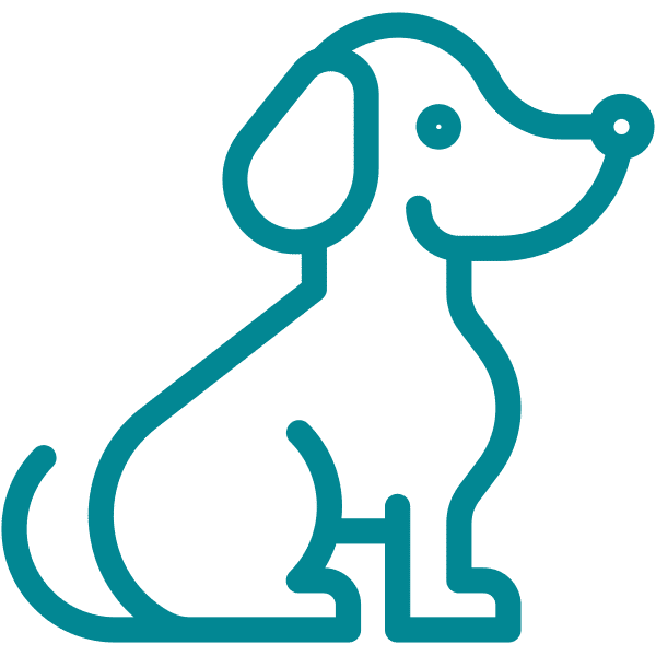 Illustration of a dog