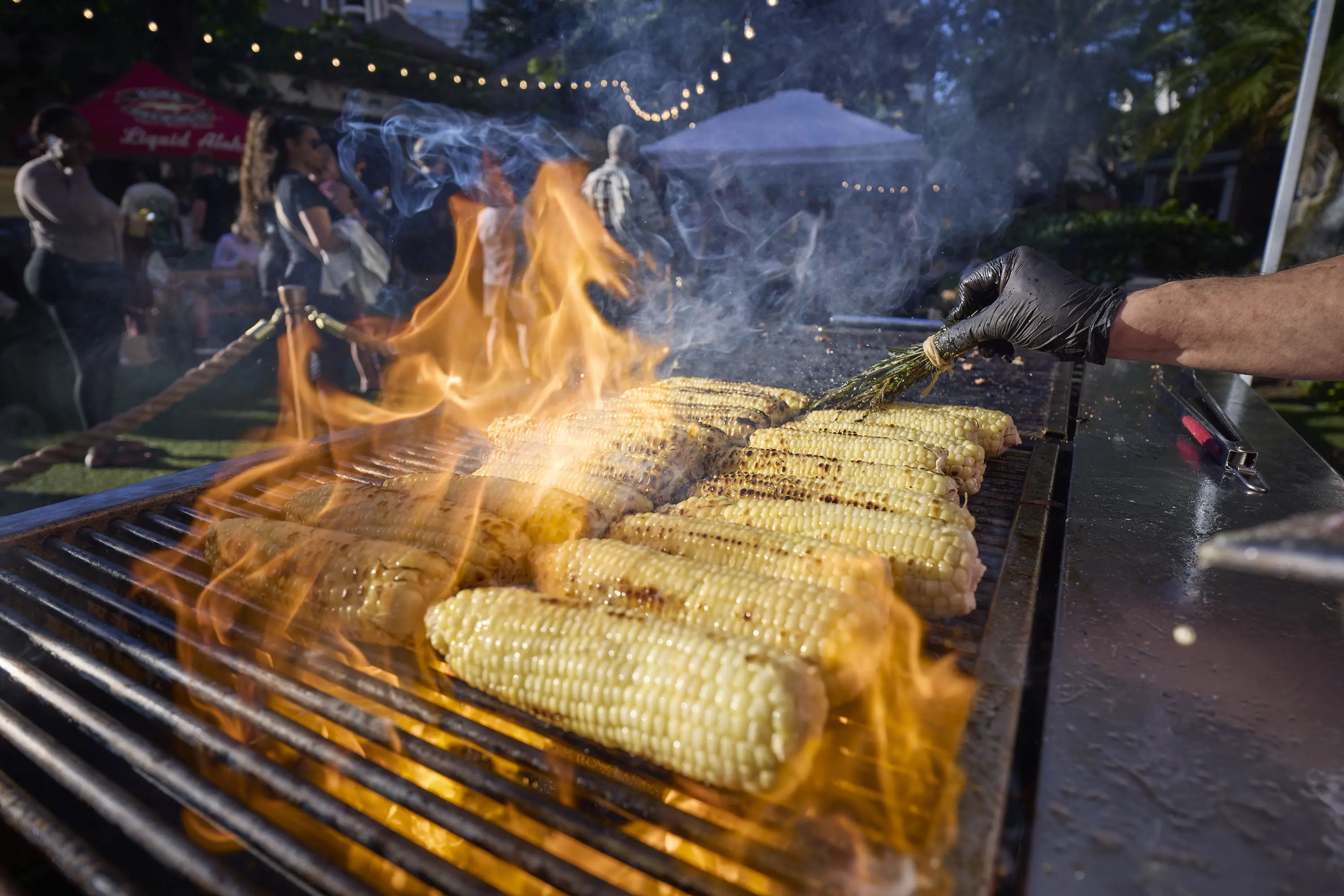 Corn barbequed on a grill