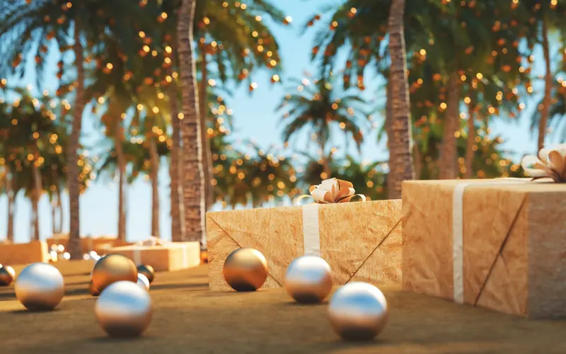 Holiday Activities